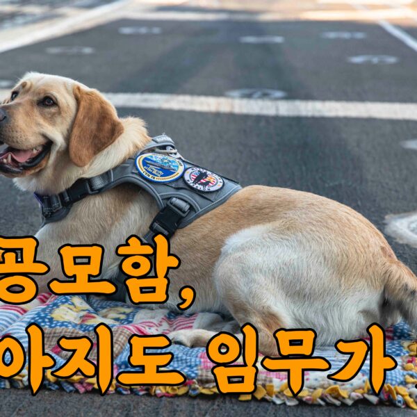 미국 항공모함에 강아지가 있다?