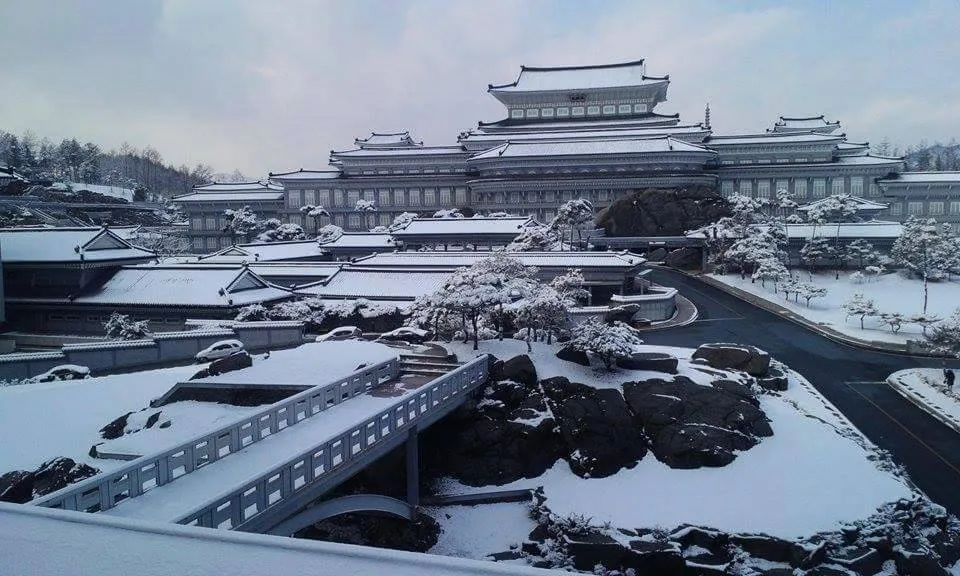 당장 망해도 걱정없는 대학교 2