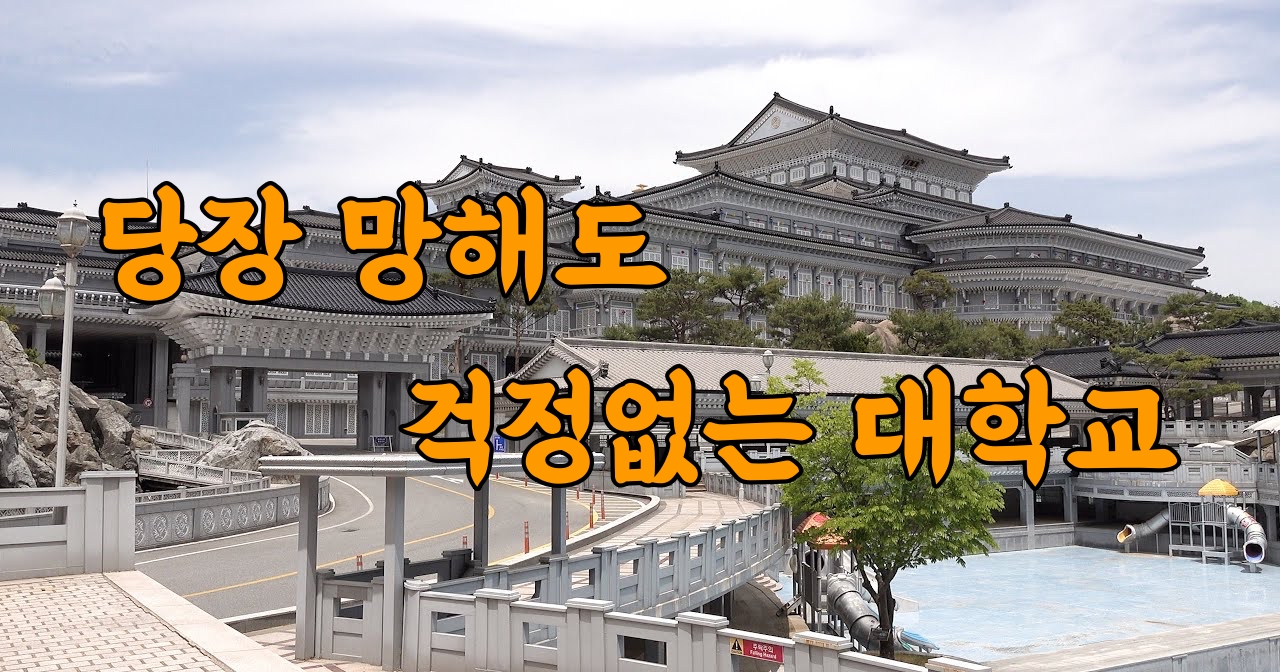 당장 망해도 걱정없는 대학교 1