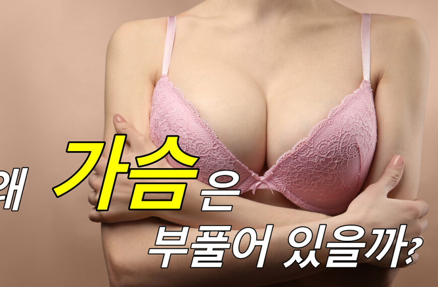 왜 인간 여성만 가슴이 부풀어나왔나