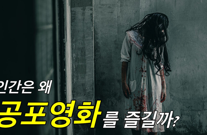 인간은 왜 여름에 공포영화를 볼까?